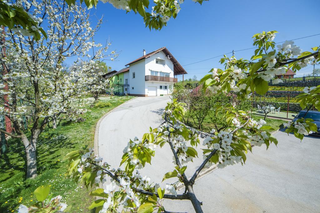 Apartment Bastaja
